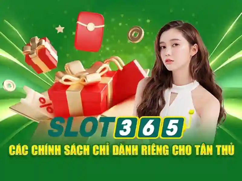 Trải nghiệm người dùng và phản hồi cộng đồng