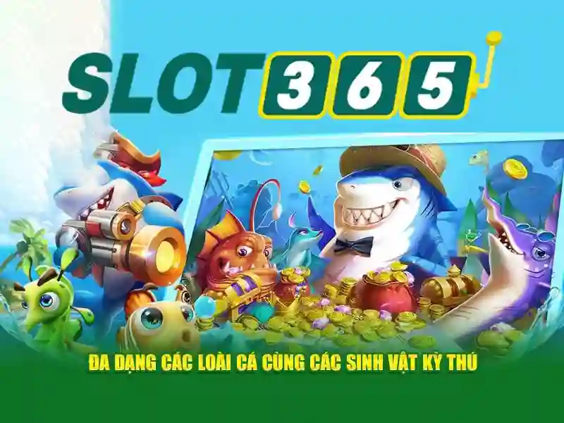 Kết luận và lưu ý khi tham gia