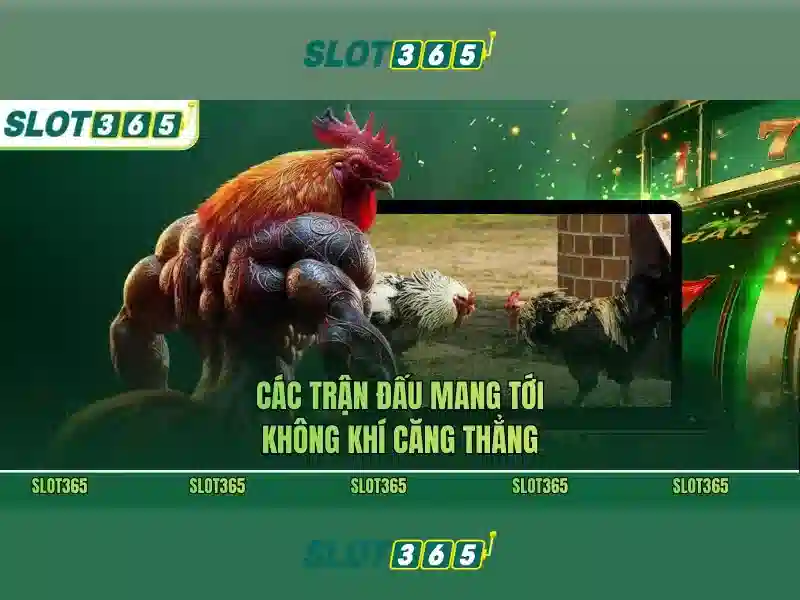 Khuyến mãi và chương trình thưởng hấp dẫn