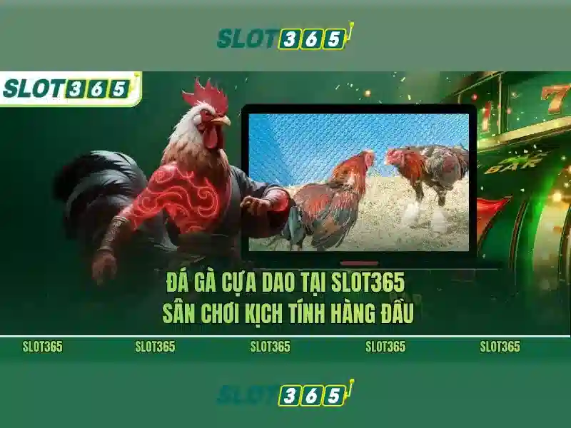 slot365. – Chủ đề và giá trị cốt lõi