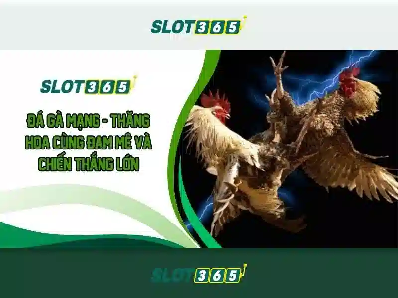 Hướng dẫn cài đặt ứng dụng Slot365 trên hệ điều hành iOS