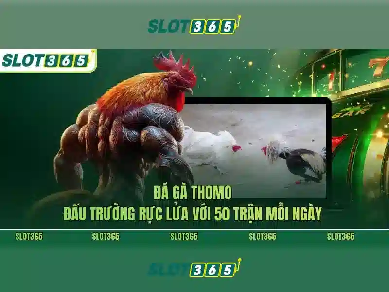 Giới thiệu về slot365