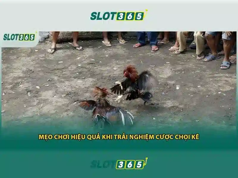 Ưu đãi và thưởng