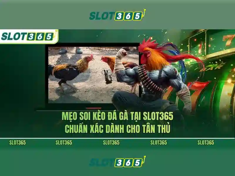 Tổng quan về tải app slot365