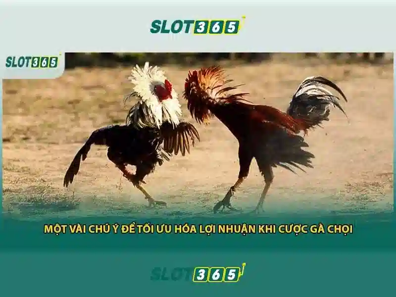 Giao diện nhà cái hoàn hảo