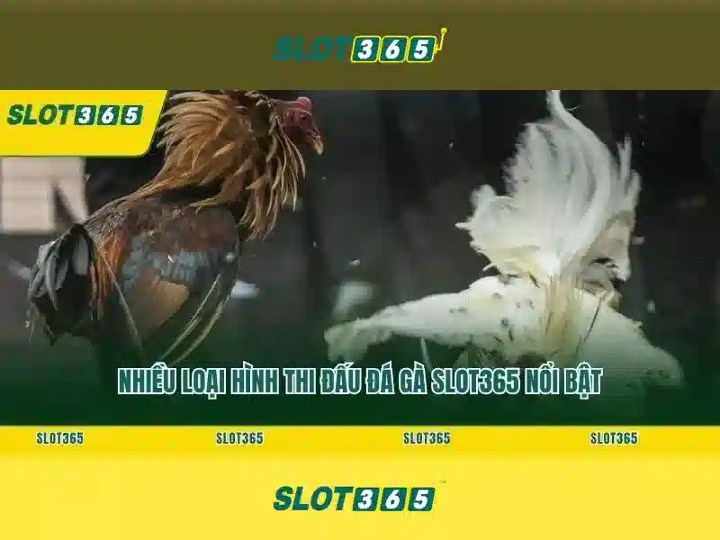 slot365. - Thương hiệu casino trực tuyến đỉnh cao và trải nghiệm Giao diện nhà cái hoàn hảo