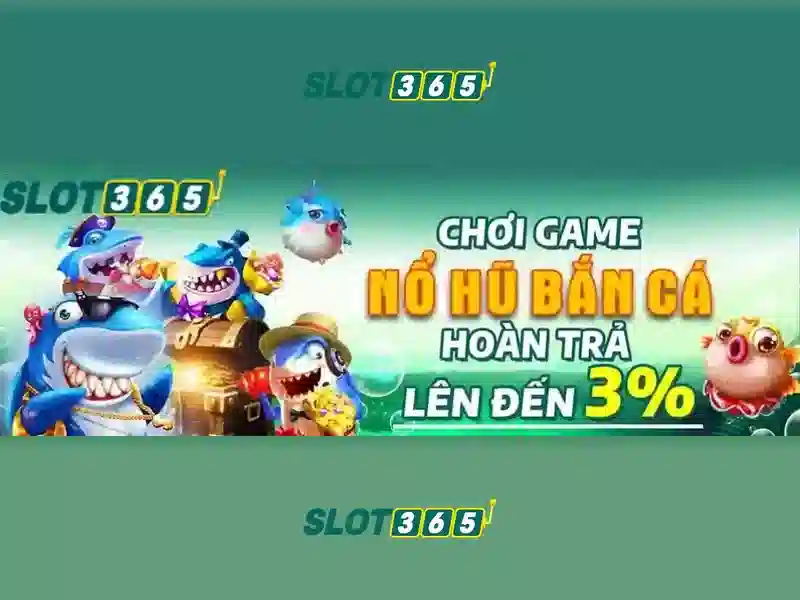 Giao diện và trải nghiệm người dùng