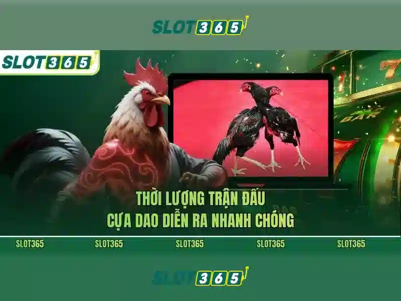 Chương trình khuyến mãi và thưởng