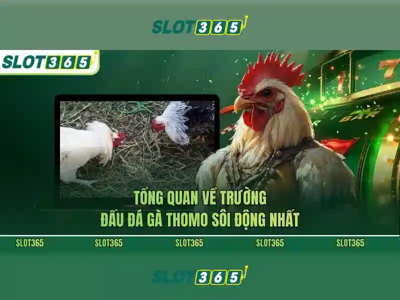 Danh mục trò chơi và tính năng