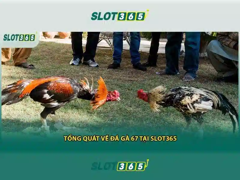 An toàn và thanh toán