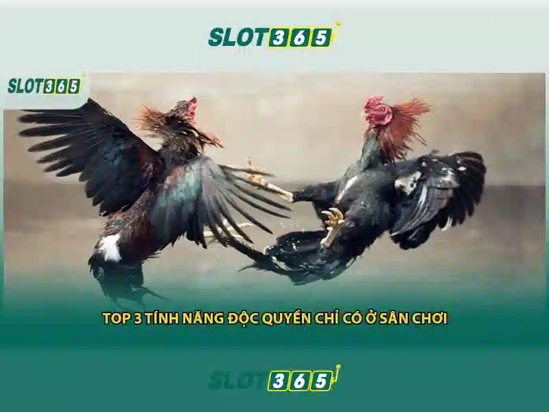 Tổng quan chủ đề và giá trị cốt lõi