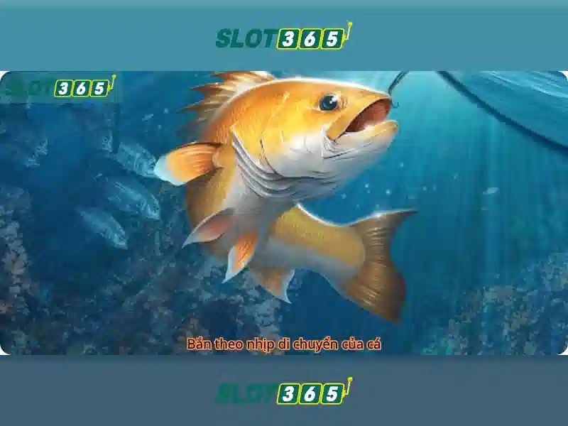 Tính năng nổi bật