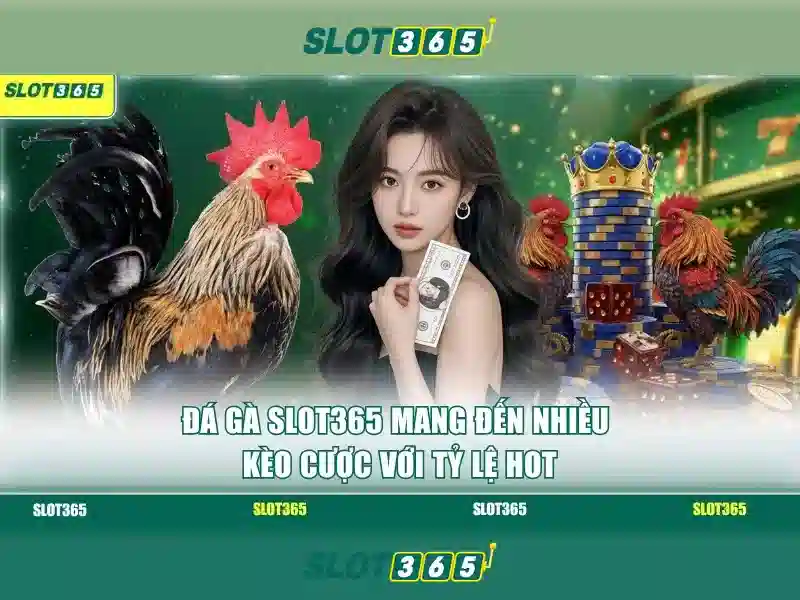 Trải nghiệm người dùng và trò chơi