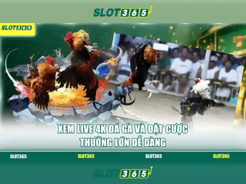Giao diện nhà cái hoàn hảo