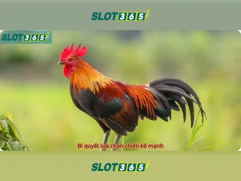 Slot365 - Nen tang xeng truc tuyen noi bat