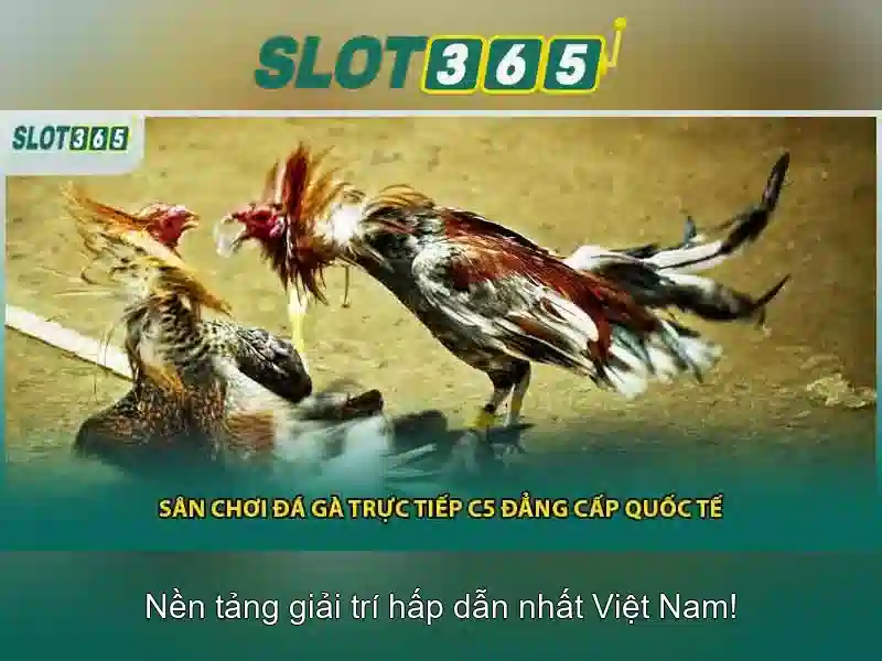 Những tính năng nổi bật của Slot365