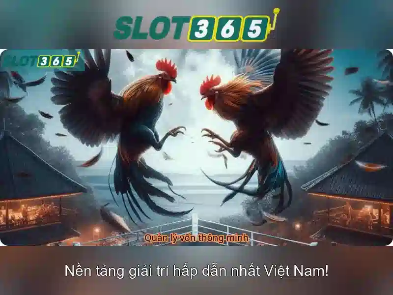 Giao diện nhà cái hoàn hảo