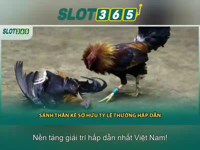 slot365 net - khởi đầu và sứ mệnh