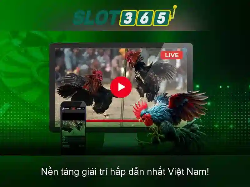 Giao diện nhà cái hoàn hảo