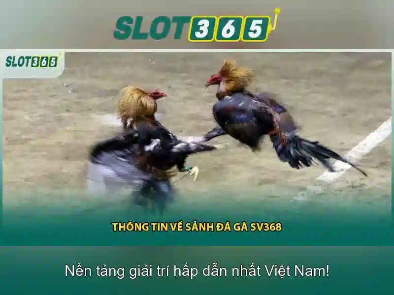Giao diện nhà cái hoàn hảo