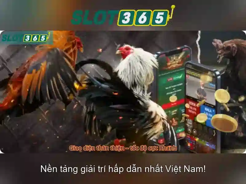 Giao diện nhà cái hoàn hảo