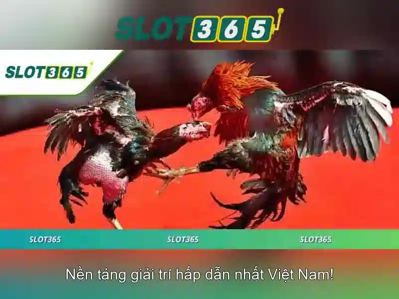 Danh mục trò chơi phong phú và chất lượng cao