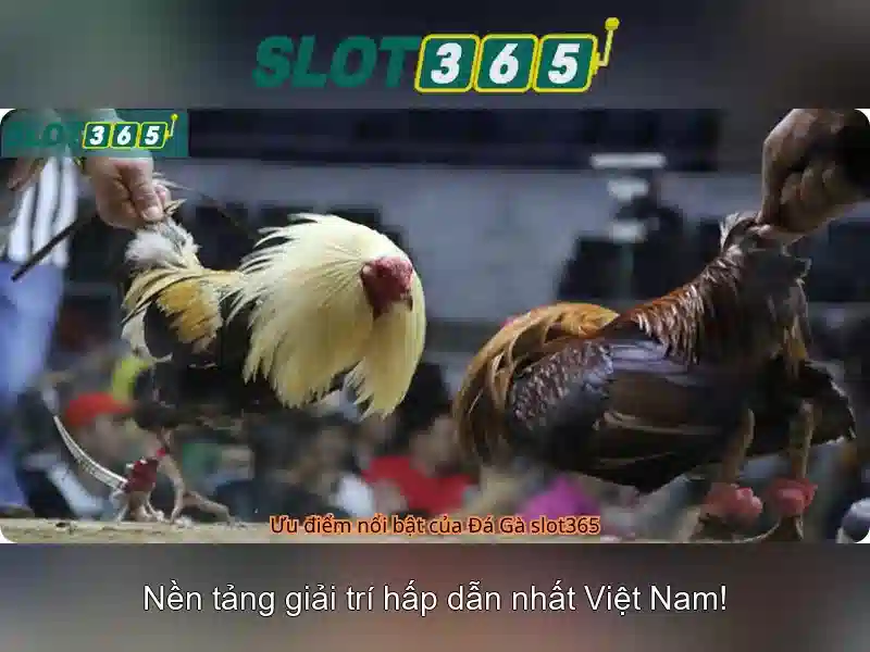 slot365 – Trải nghiệm slot trực tuyến an toàn và thú vị Giao diện nhà cái hoàn hảo