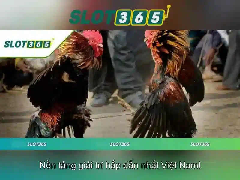 Giao diện nhà cái hoàn hảo