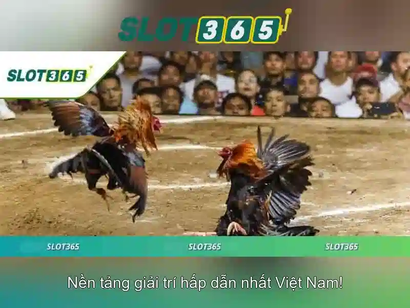 Cung cấp sản phẩm và dịch vụ cốt lõi tại slot365 casino