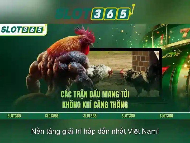 Nguồn gốc và sứ mệnh của review Slot365