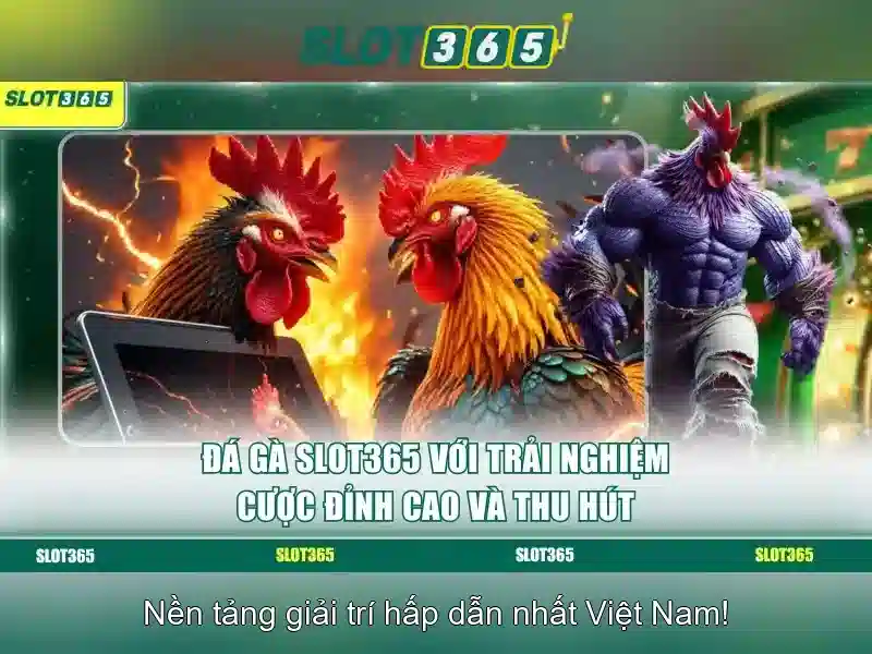 Điểm nổi bật của Slot365