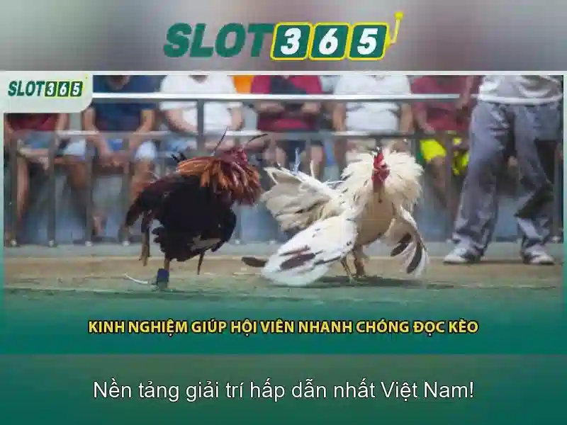 An toàn và bảo mật