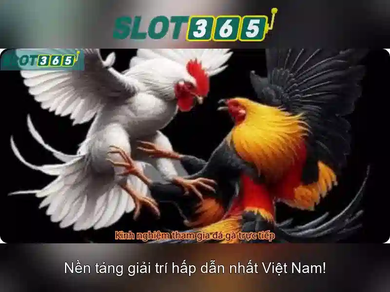 Cac phuong thuc lien he da dang tai nha cai