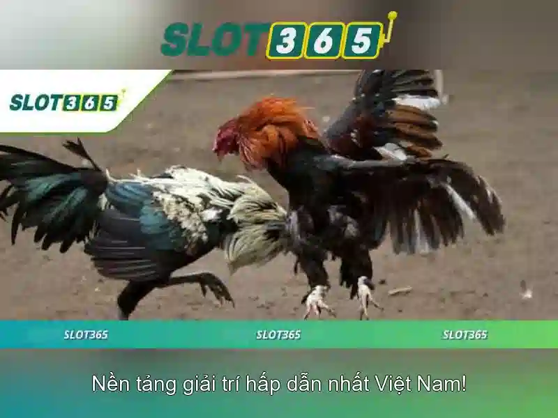 Danh sách trò chơi và nhà cung cấp-\n<h>Khuyến mãi và điểm thưởng</h>\n<p><span style=