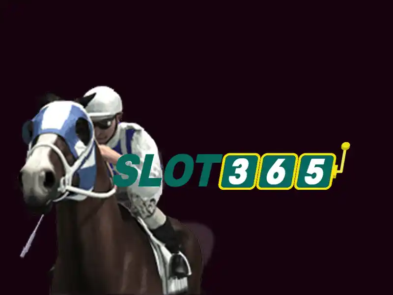 Slot365 - Đánh giá tổng quan