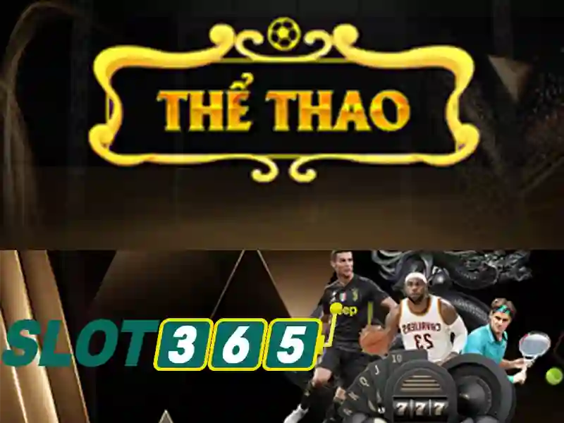 slot365 win – Sản phẩm và Dịch vụ chính