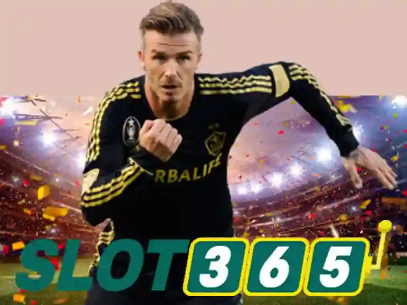 Slot365 là gì?